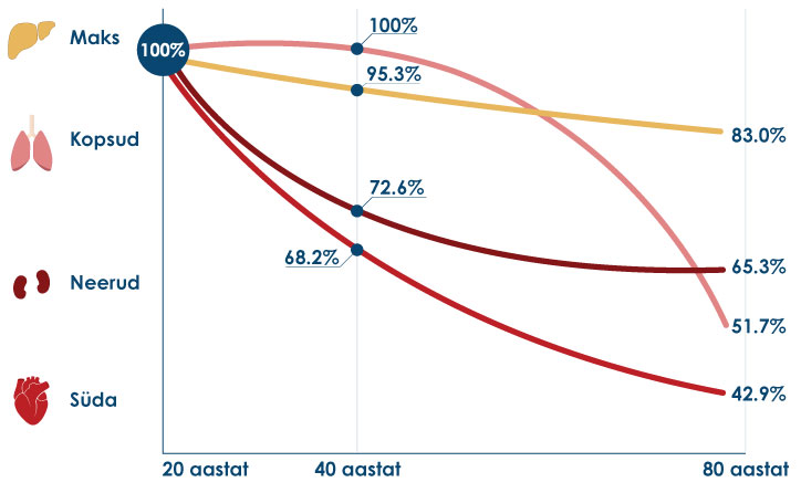 Graafik, mis illustreerib erinevate elundite Q10 sisalduse keskmist looduslikku langust vanuses 20–80 aastat